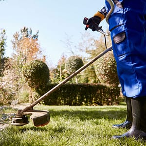 Klussen rond en in De Borgstee
